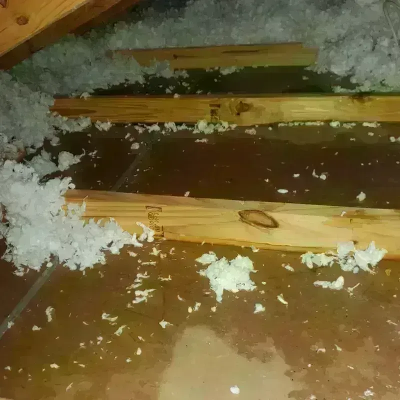 Attic Water Damage in Black Forest, CO